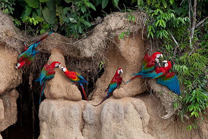 Peru