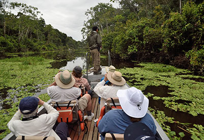 Peruvian Odyssey